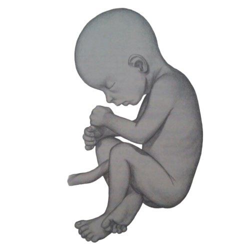 Cada sesión de fotos de embarazo en Guadalajara está pensada para acompañarte, capturando la belleza de esta etapa con sensibilidad y cuidado